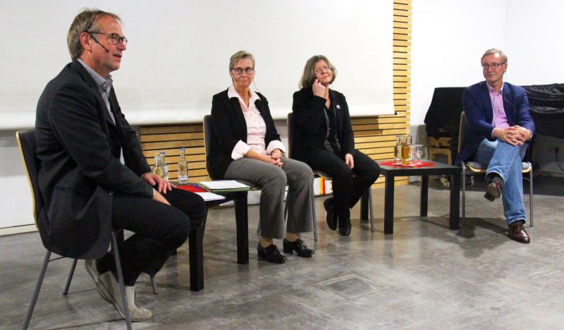 Zwanzig durchbohrte Steine aus Togo