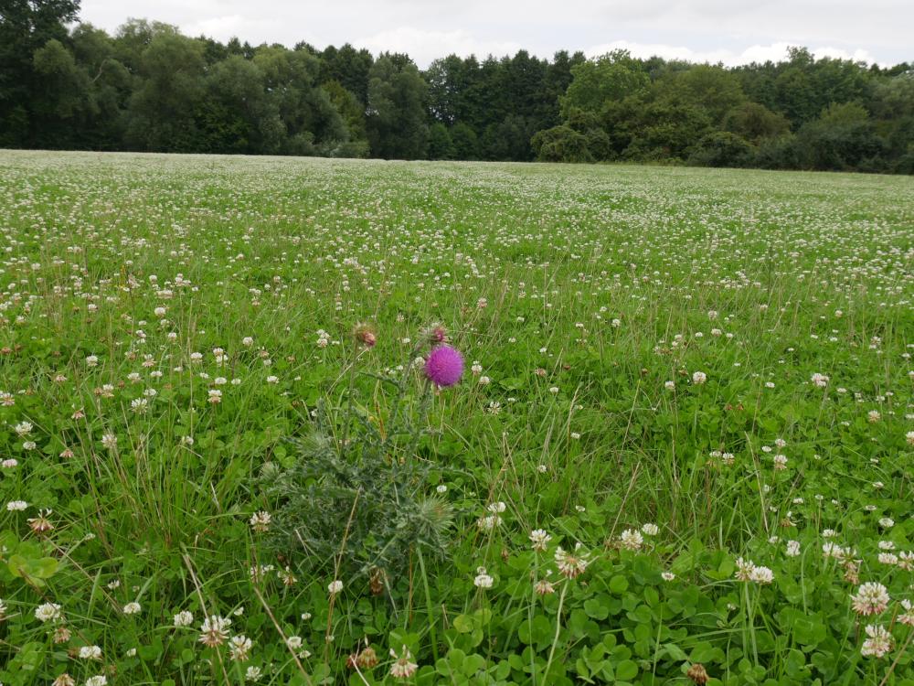 Klimaschutz - Umwelt - Nachhaltigkeit