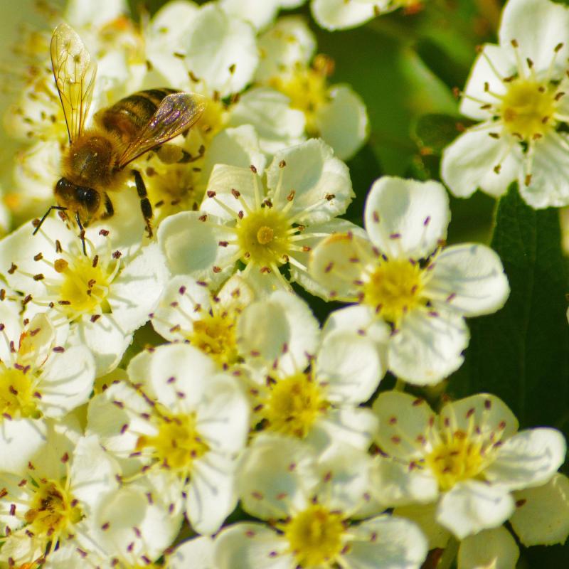 Ein kleiner Nachhaltigkeit-Check-up für Kirchengemeinden - vier Videoclips