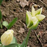 Evangelisch in Lippe